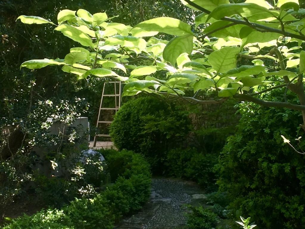 Les Jardins De Baracane Авиньон Экстерьер фото