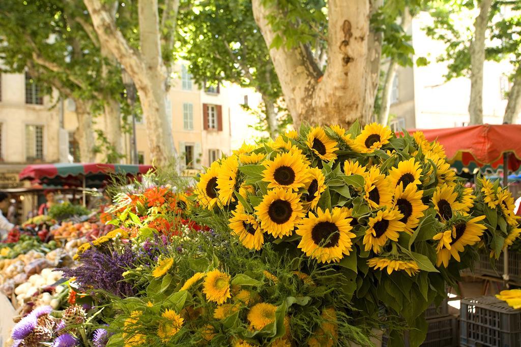 Les Jardins De Baracane Авиньон Экстерьер фото