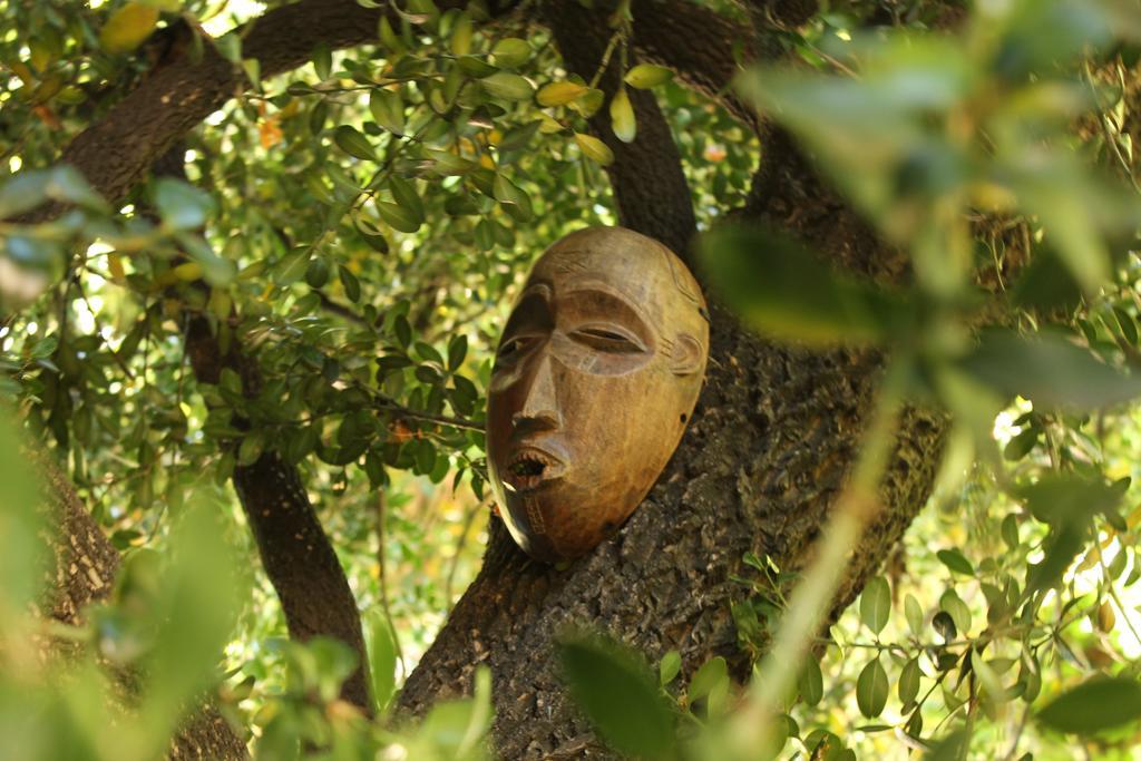 Les Jardins De Baracane Авиньон Экстерьер фото